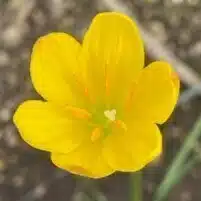 こもれび帖