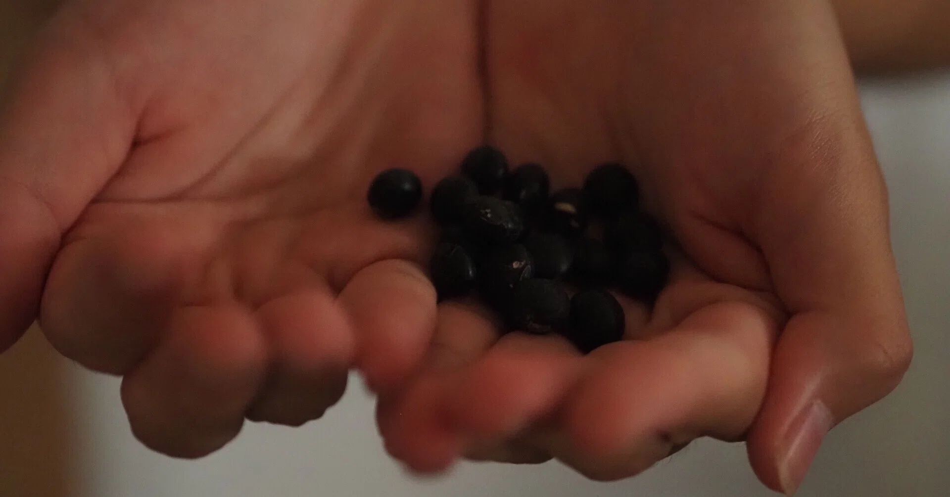 黒豆 茶 の 作り方