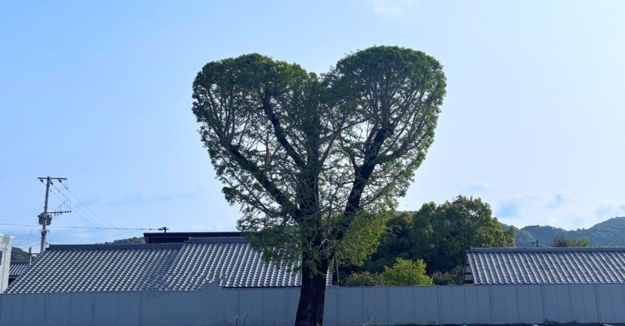伐採したイチョウの木いかがですか？ イチョウの巨木、伐採へ 地区のシンボルと別れ 伊賀市諸木 | 【伊賀