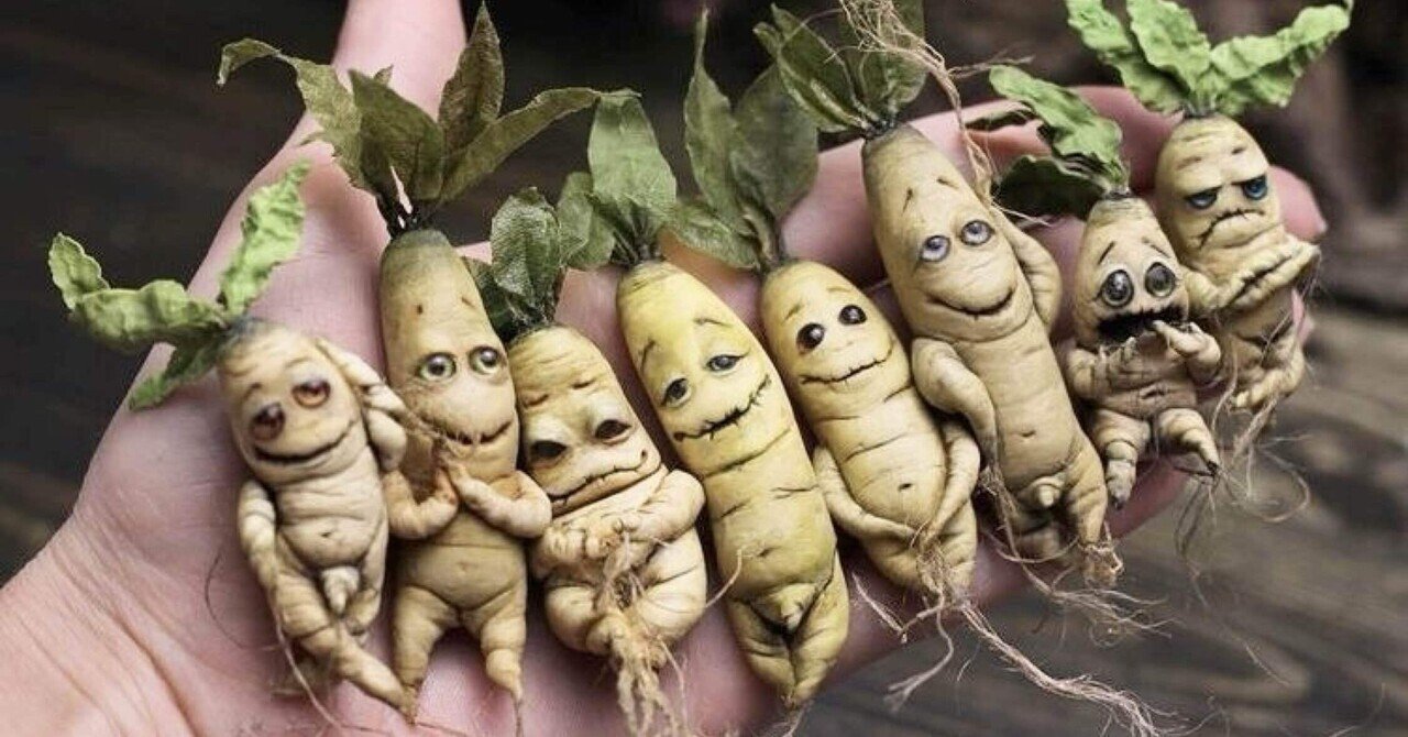 マンドラゴラ】魔改造されたもん勝ち理論｜黒みつ