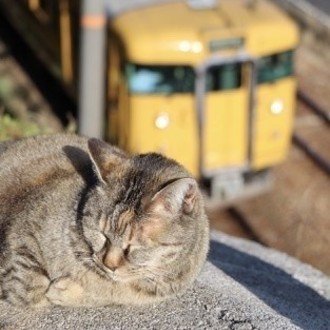 トップに移動