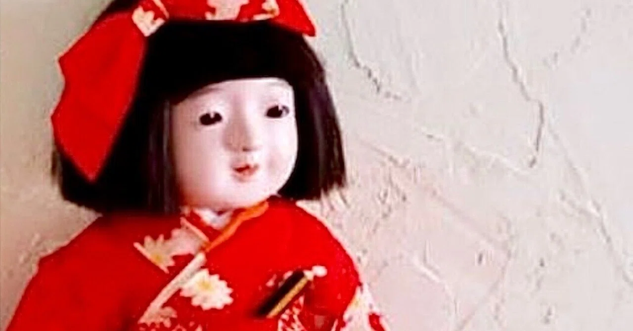 市松さん 八重｜hoshizuna