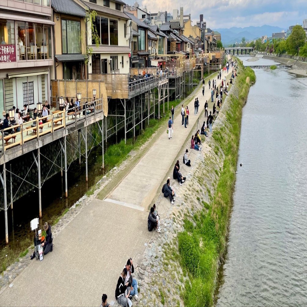 【鴨川ノ鴨】 鴨川納涼床 - 宿屋西陣荘