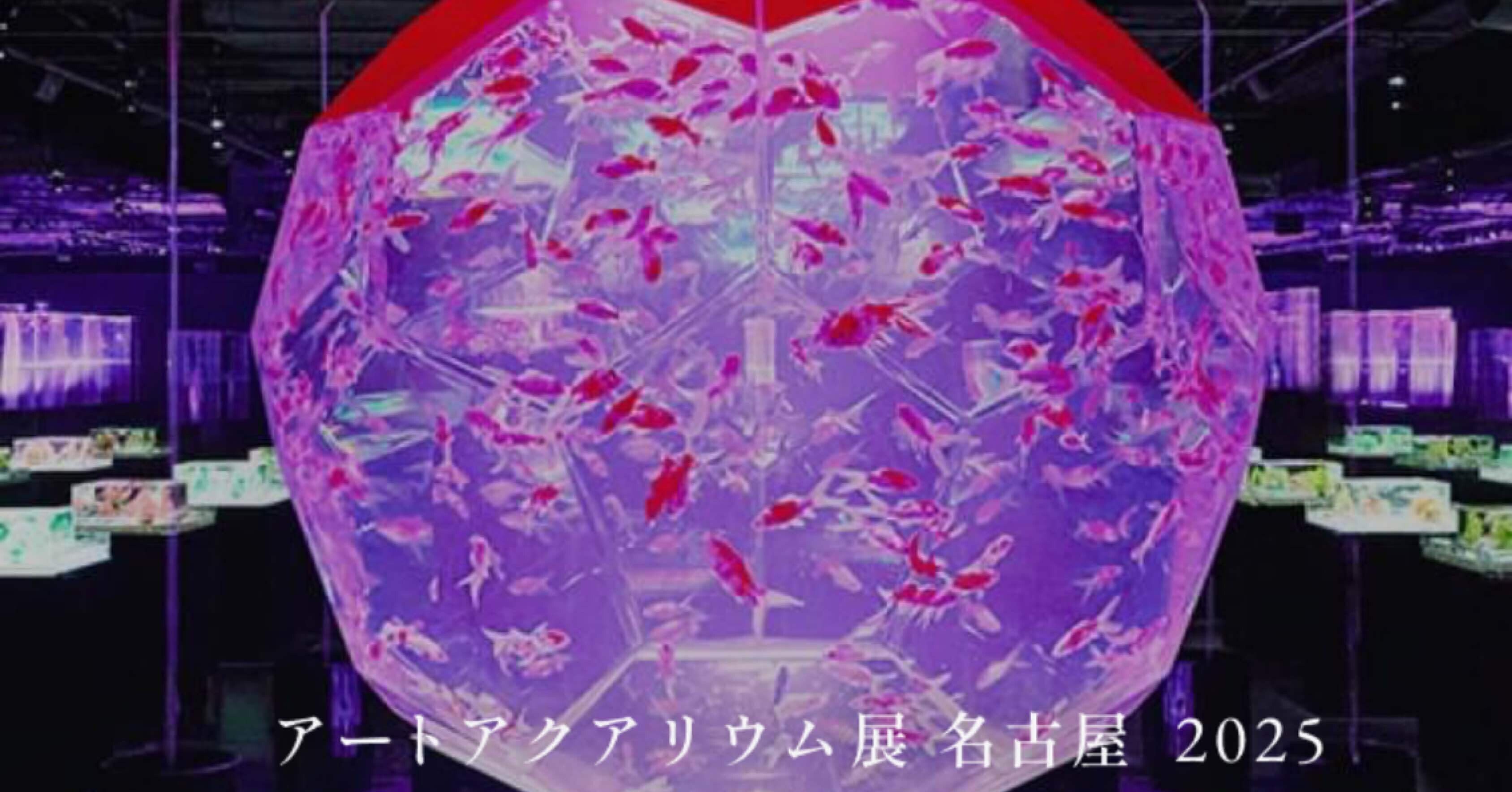 幻想的なアートアクアリウム展 In 名古屋｜もっちょん