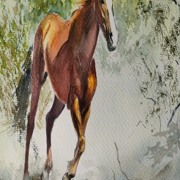 アリゾナ砂漠 野生の馬たち｜horseart-55
