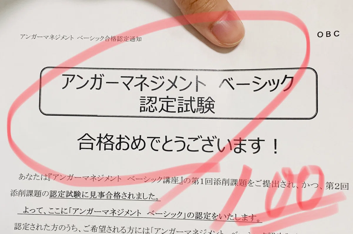 Diary Vol. 3: Passed the Anger Management Certification Exam!!｜スギハラミライ ...