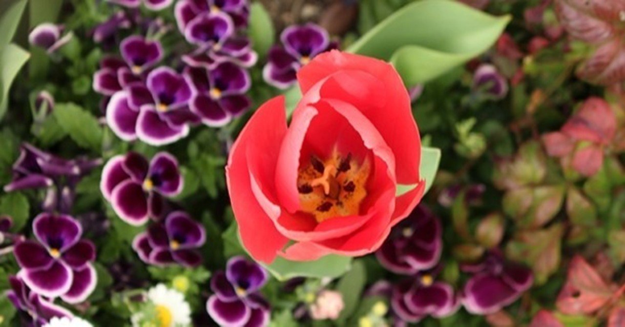 恋に不器用な女の頭の中 もりたひでみ Note