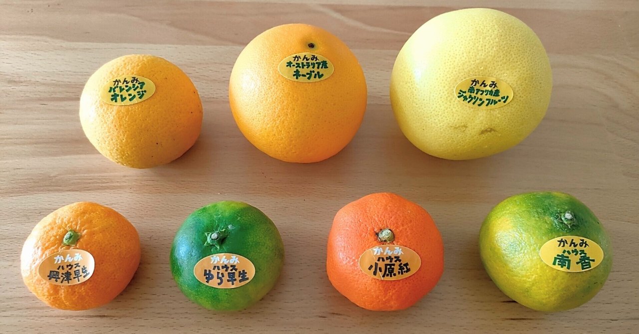 柑橘のサブスク かんみ】8月号｜みな