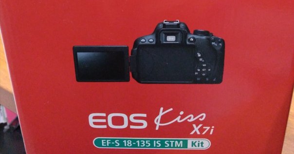 Canon EOS Kiss Digital N｜芝生侍
