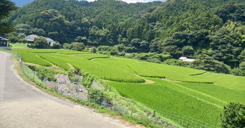 福岡視察旅