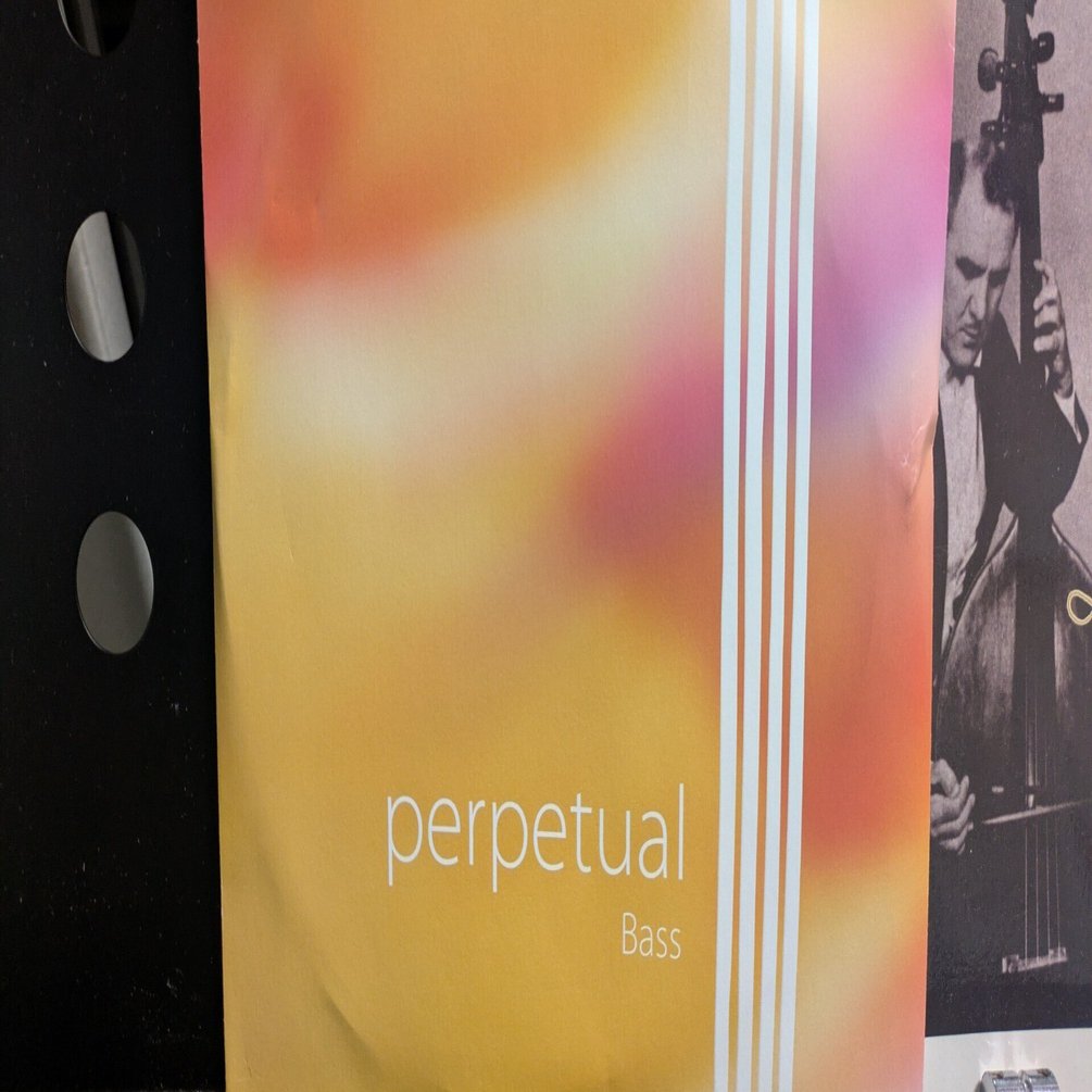 コントラバス弦・パーペチュアル｜Shin Sheena