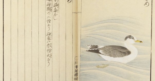 植物誌 3』テオプラストス／小川洋子 訳（西洋古典叢書）【2025