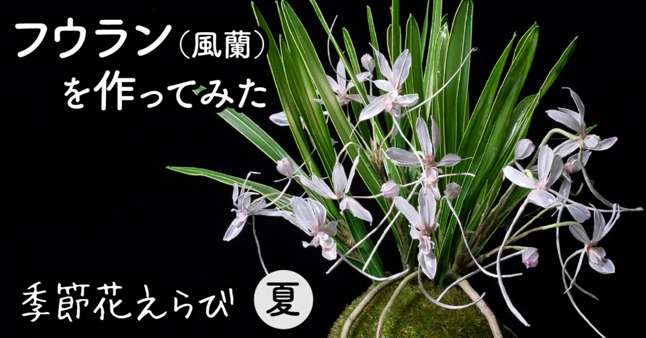 フウラン〜風蘭〜（Wind Orchid）｜岡田香陽子 のDipフローラルアート