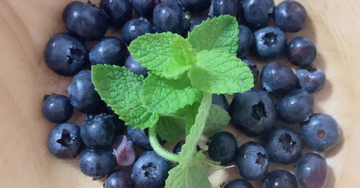 Today's QOL: Frozen blueberry stock changes your life｜飲食売り上げ1%upの思案ノート ...