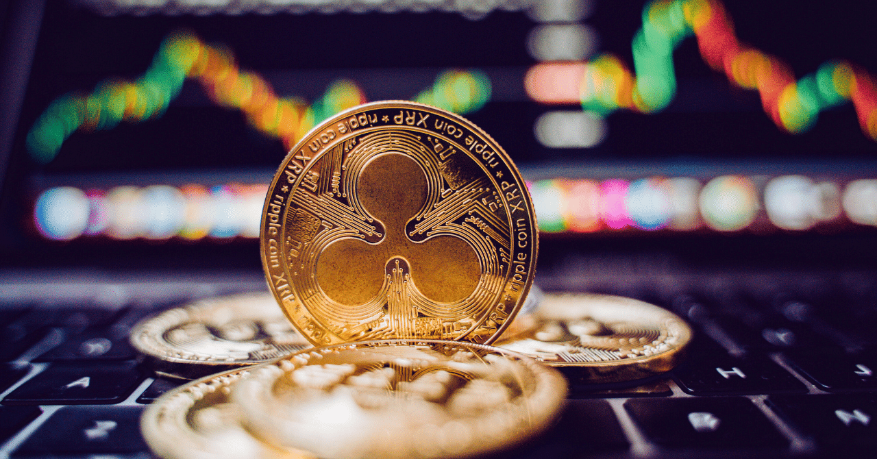 2025年最新】Magnetic Xとは？特徴・仕組み・投資メリットを徹底解説！｜nao