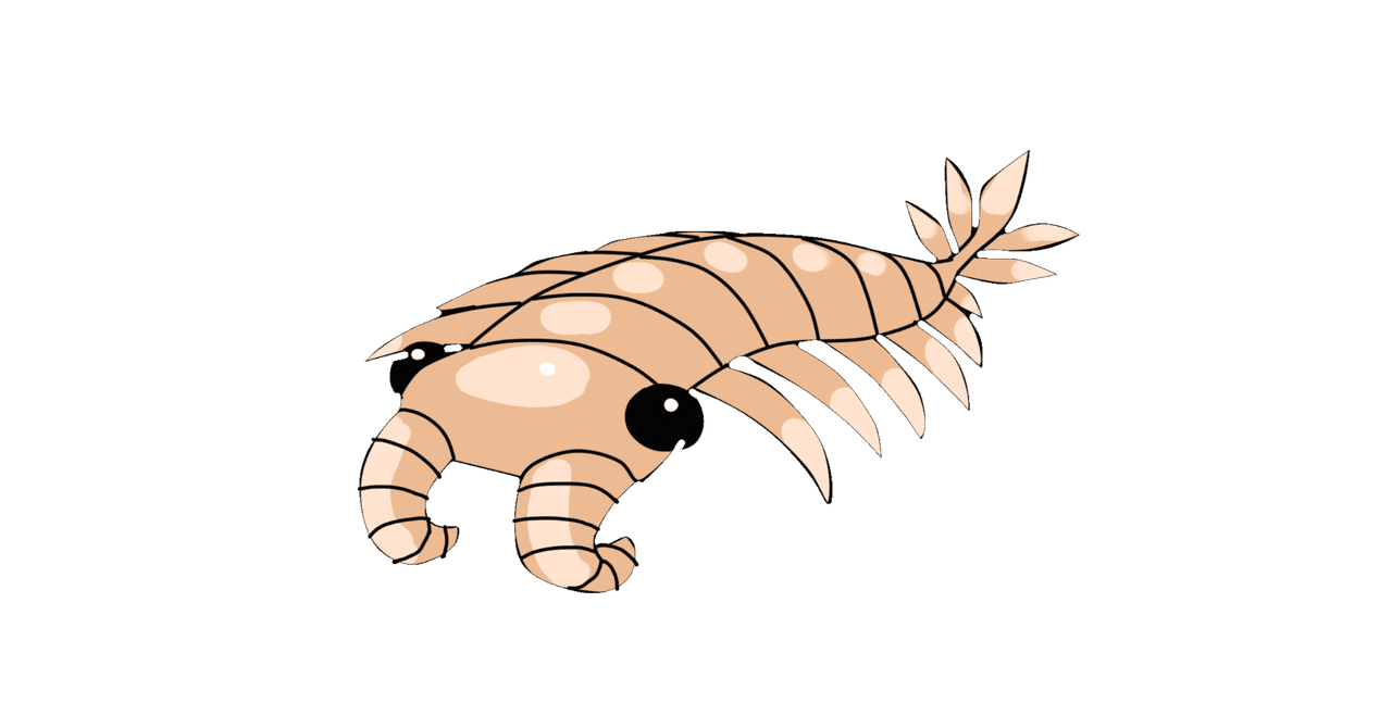 カンブリア爆発の謎 チェンジャンモンスターが残した進化の足跡』 宇佐