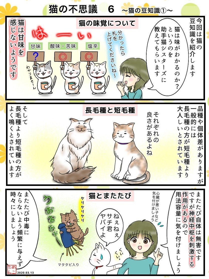 猫の不思議6 猫の豆知識 めこたん 漫画 イラスト Note
