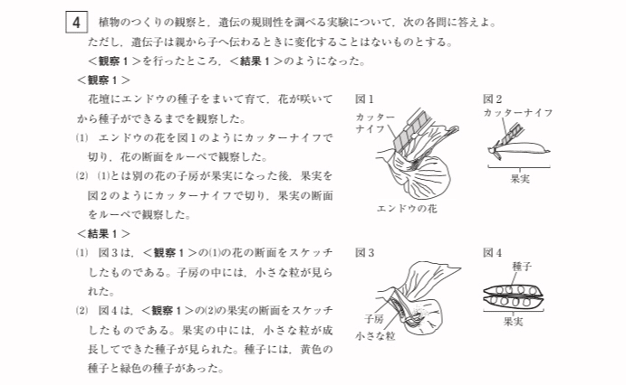都立高校入試理科生物 植物 対策 坂本良太 Note 都立高校入試理科生物 植物 対策 坂本良太 Note