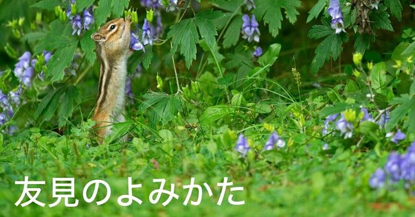 現代短歌の鑑賞101』を読む 第三回 木俣修｜中本速