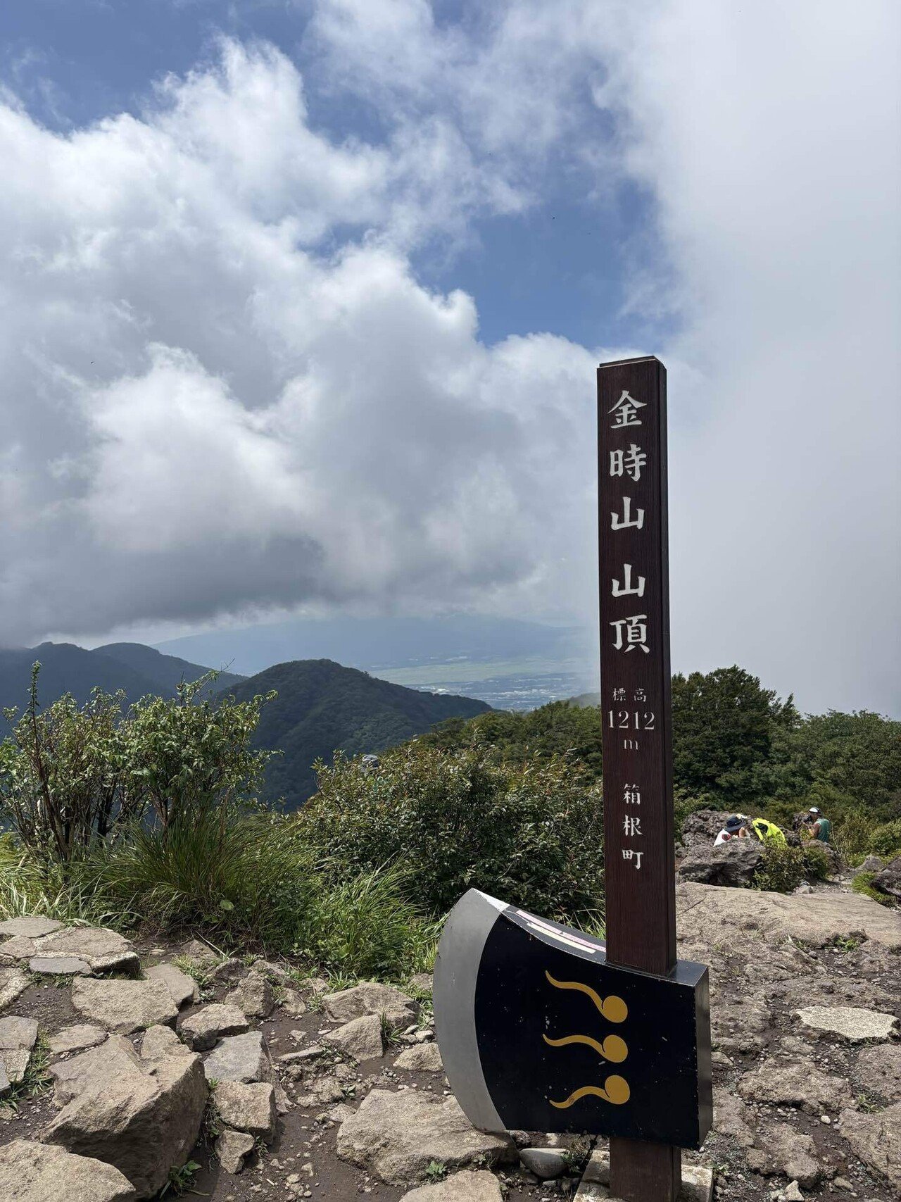箱根 金時山の夏　シシウド咲く パステル画 箱根 夏の花咲く金時山 2024年7月15日: AYコーナー山ブログNO2