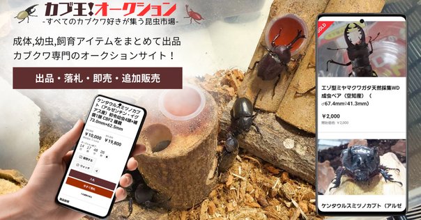 ラッカゴスペルおまけ付き ラッカゴスペルデッキおまけ付き