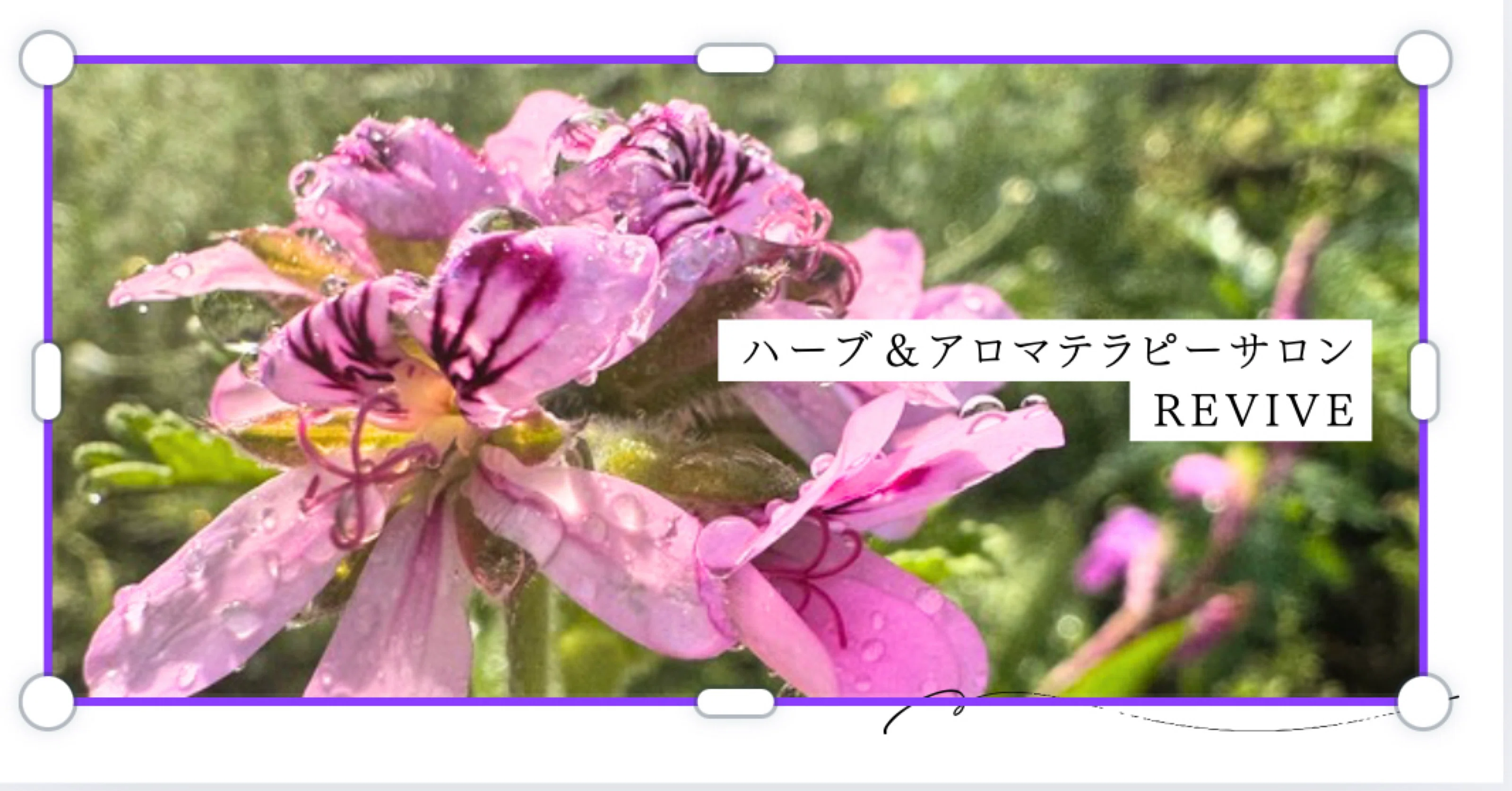 ハーブ＆アロマテラピーサロンREVIVE｜note