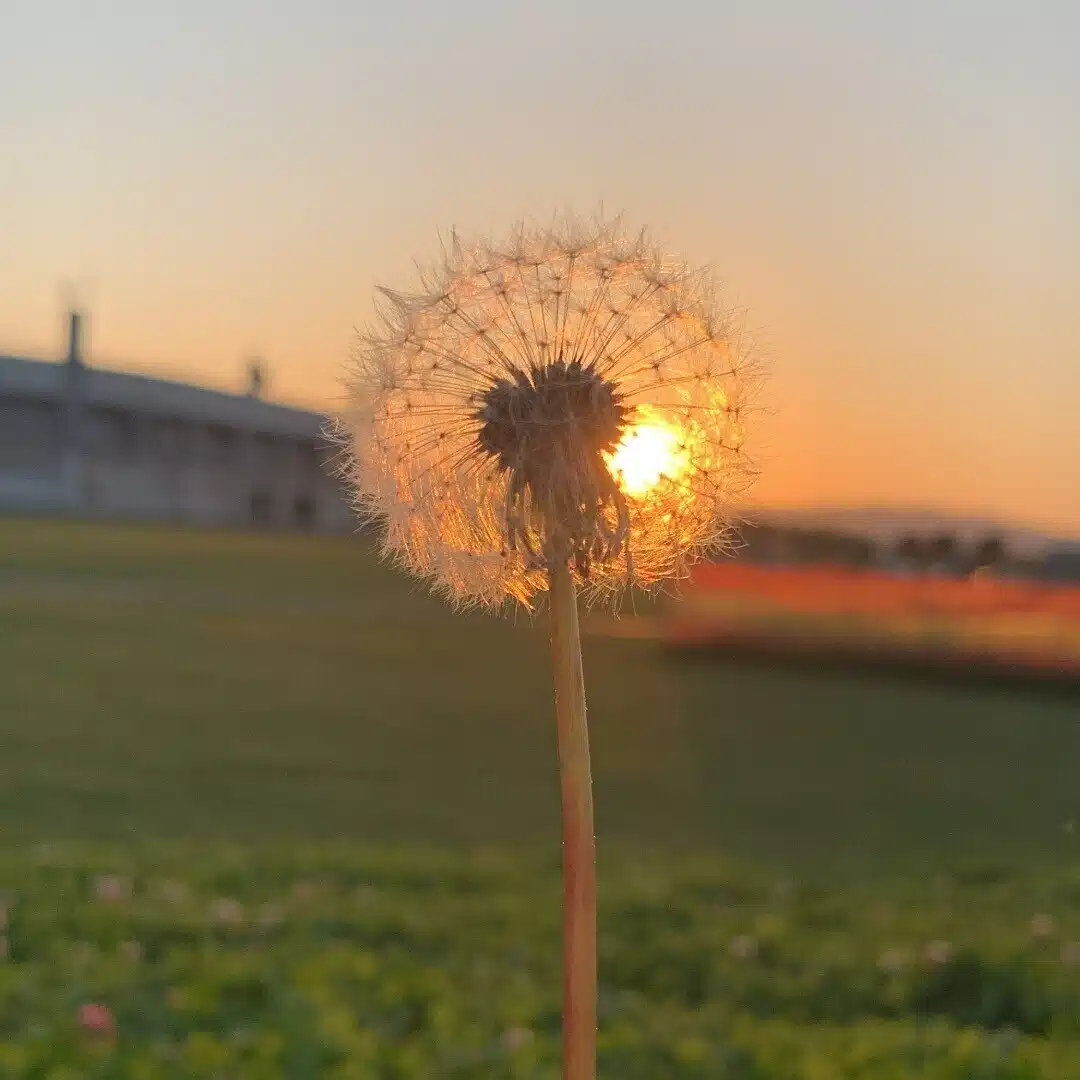 じあいちはる