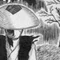 砂上楼閣