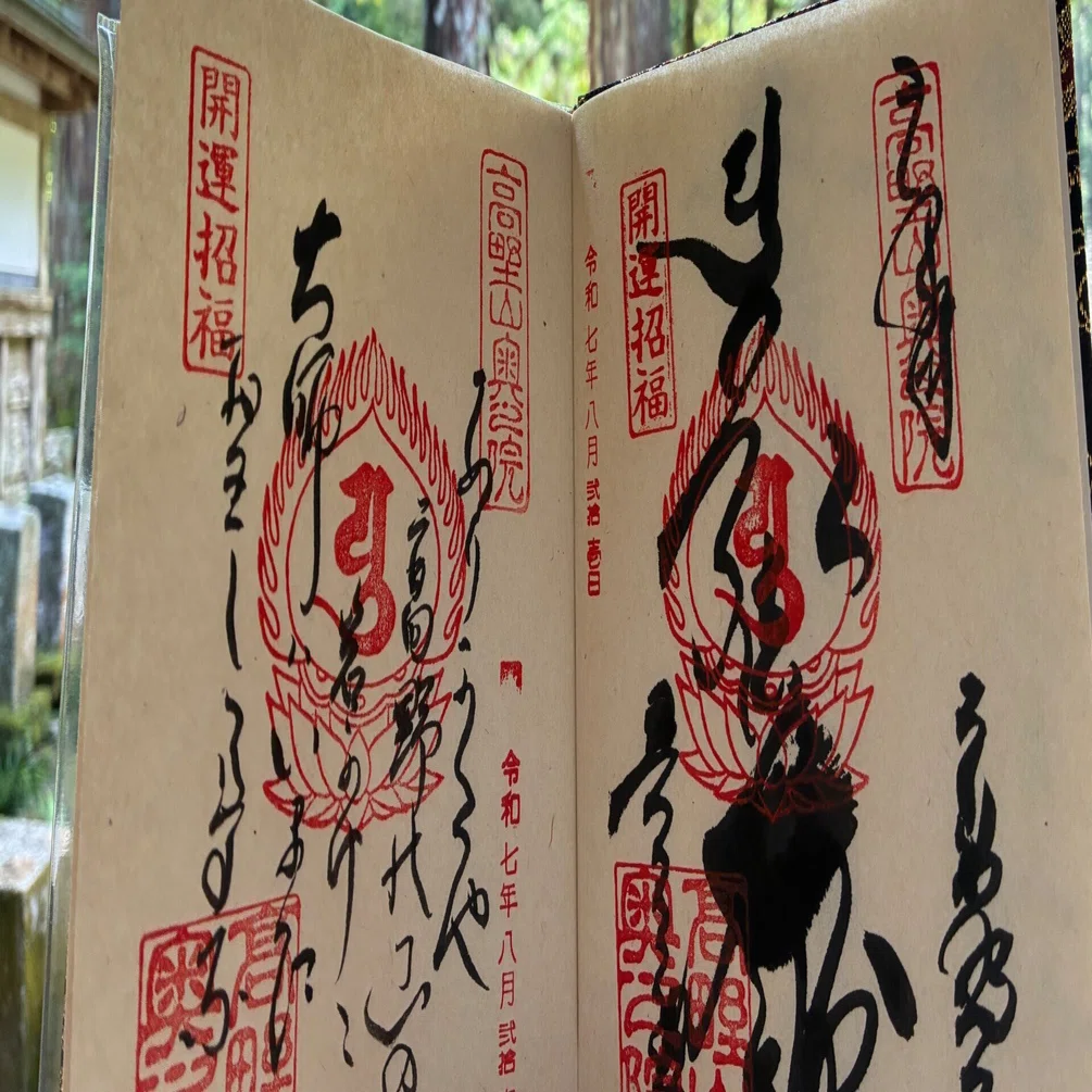 涼しげに咲く朝顔｜高野山法徳堂/空海と高野山の魅力を独自の視点で