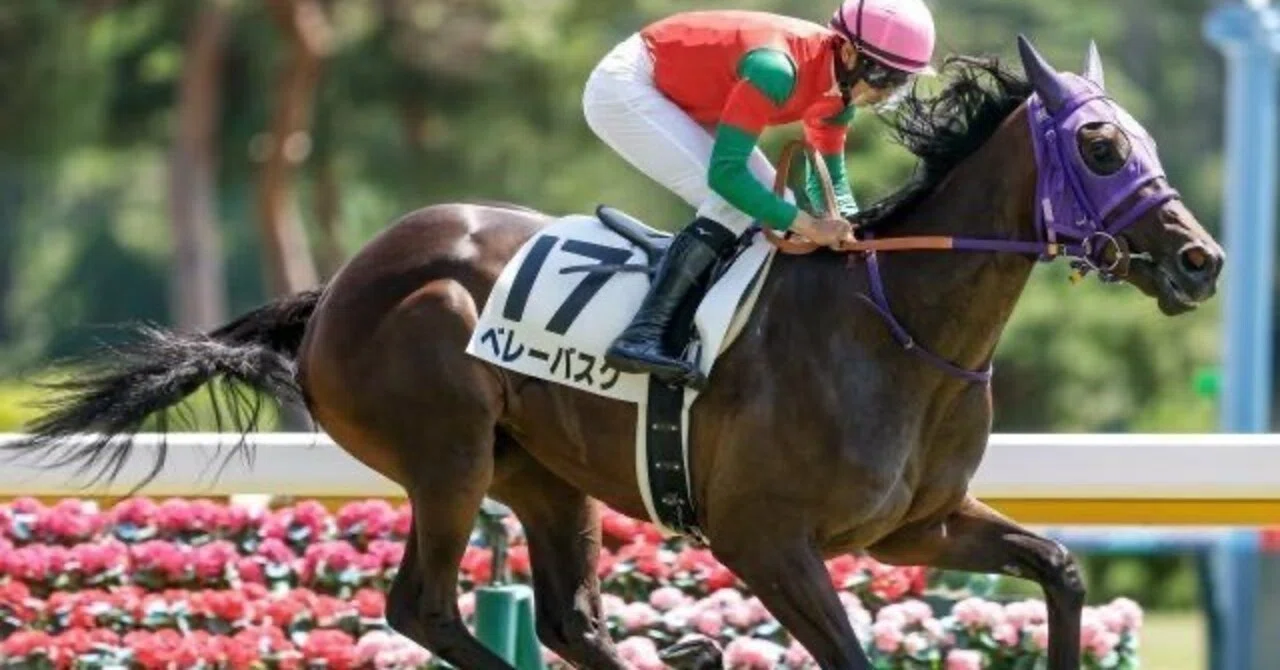 8/16.17中央競馬回顧｜かず レース回顧メモ用