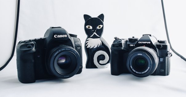 完動品【露出計OK】極美品◆昭和レトロ◆懐かしくエモい写り◆Nikon FM10 絶滅危惧種のフィルムカメラを盛り上げたい。Nikon FM10