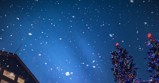 くるり初のクリスマス・ソングーー “最後のメリークリスマス”に