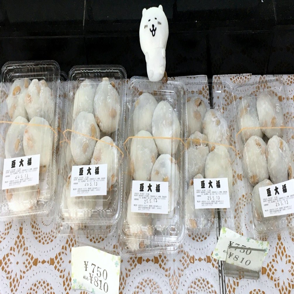 福*ん様 REZA産【週末オークション】③イラン株　アガべ　マッドボール　大きめ 福*ん様 REZA産【週末オークション】③イラン株 アガべ マッドボール