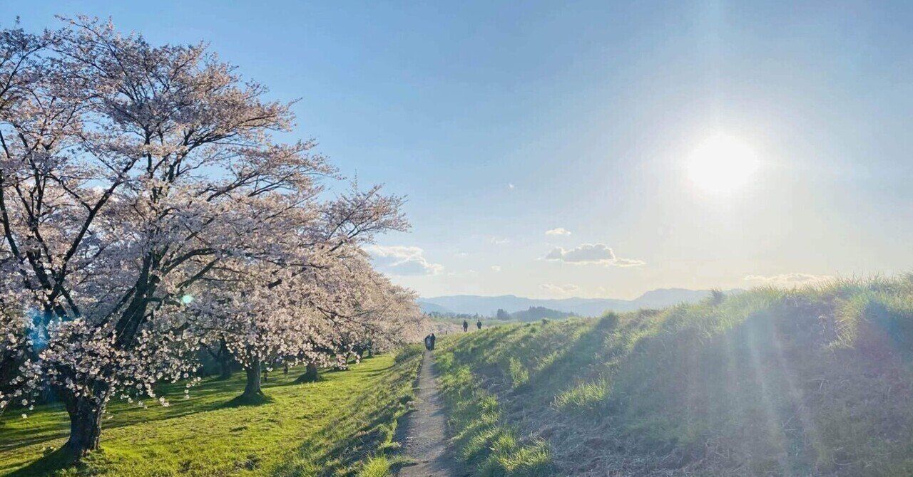 桜の開花が楽しみすぎる春。｜鉄家具と暮らす
