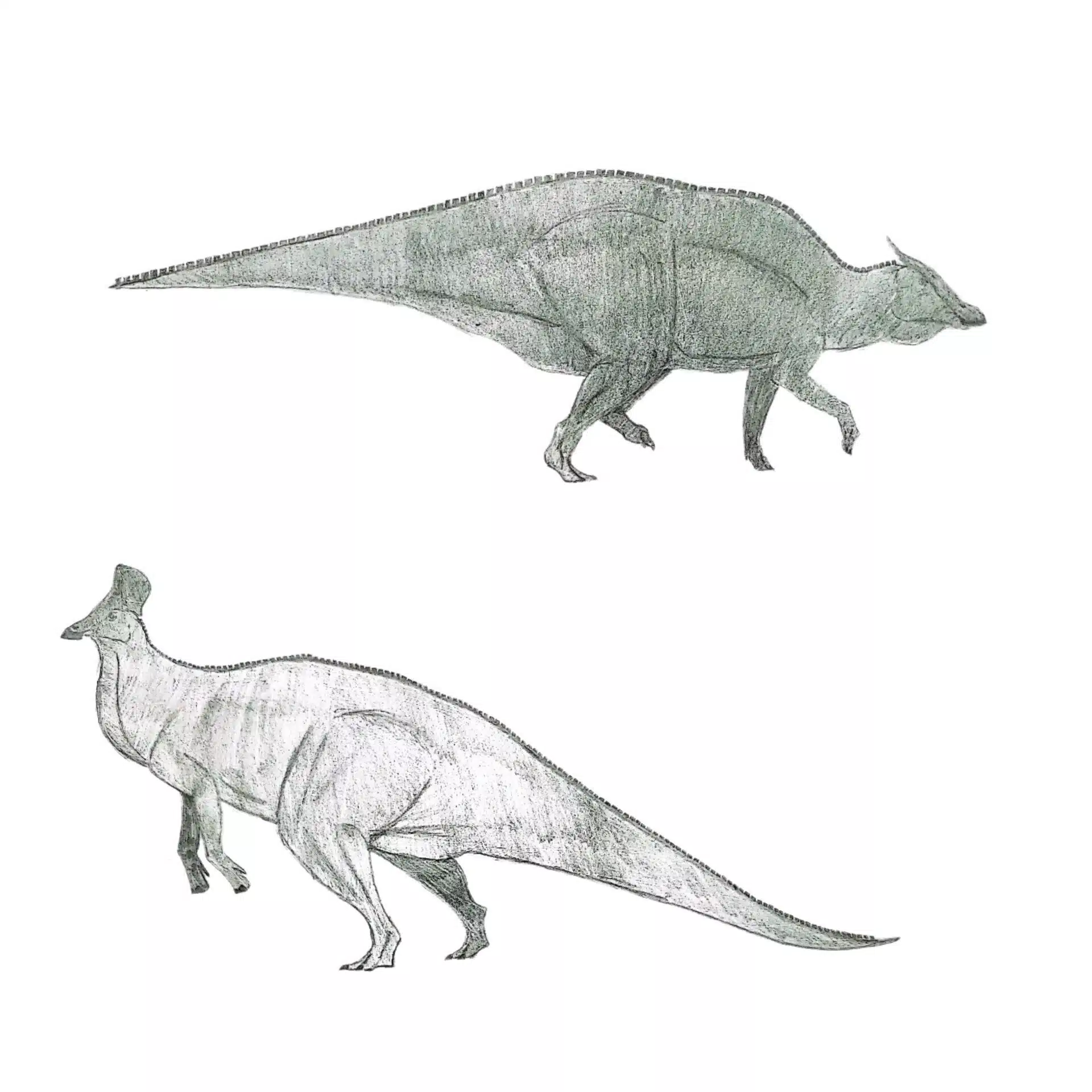 はちゅまいも🦖🍠