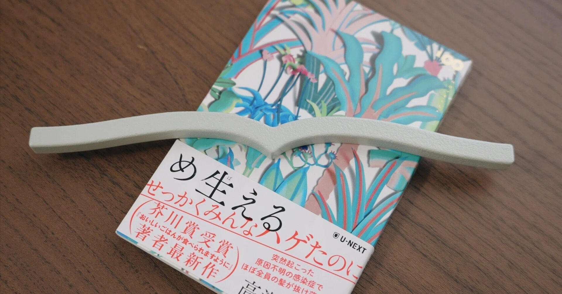 本に寄り添う文鎮は本に寄り添うか｜おかたろ@きょうも灯台