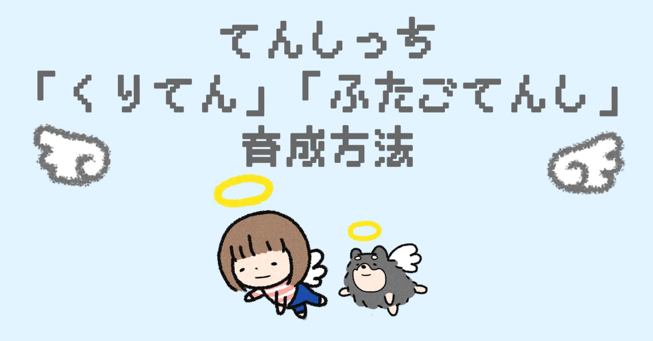 てんしっち「くりてん」「ふたごてんし」の育成方法｜いときち