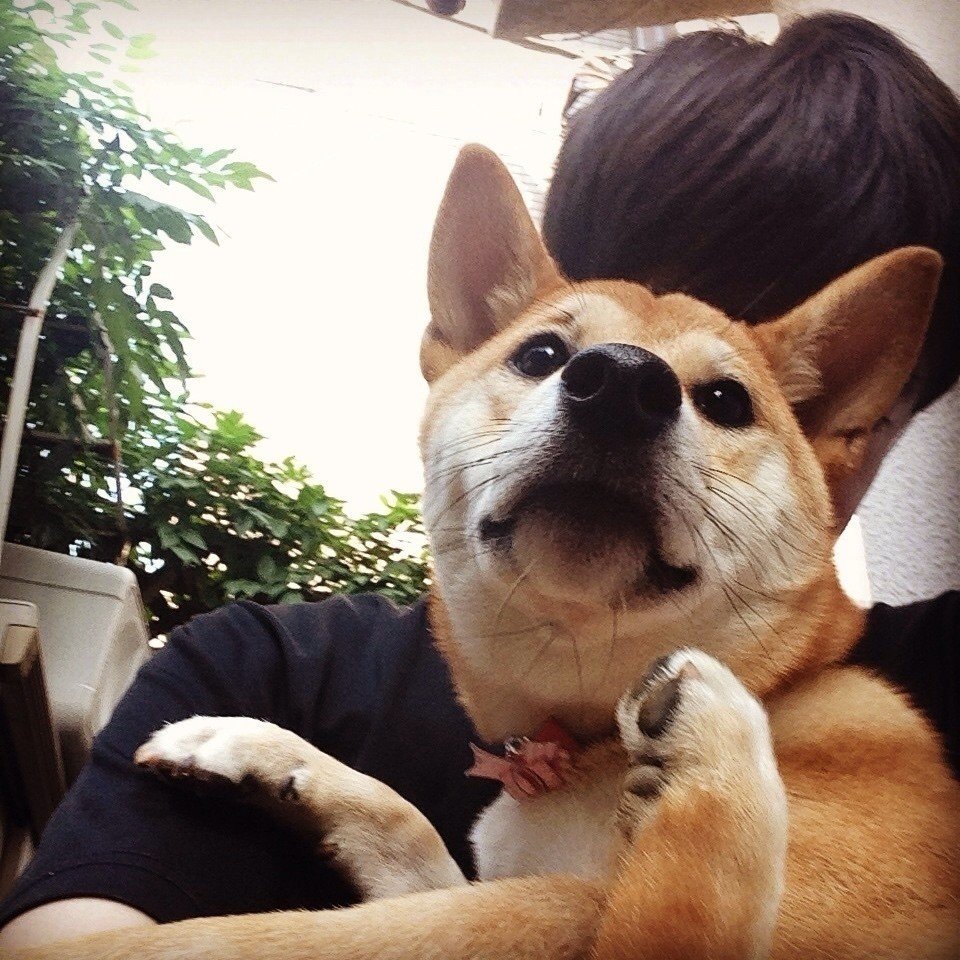 すがぬまたつや Note