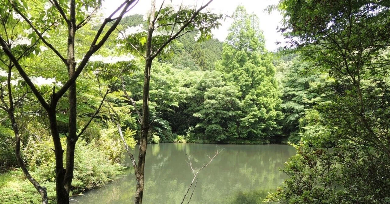 針葉樹.広葉樹.木地師 1／5｜大藏達雄