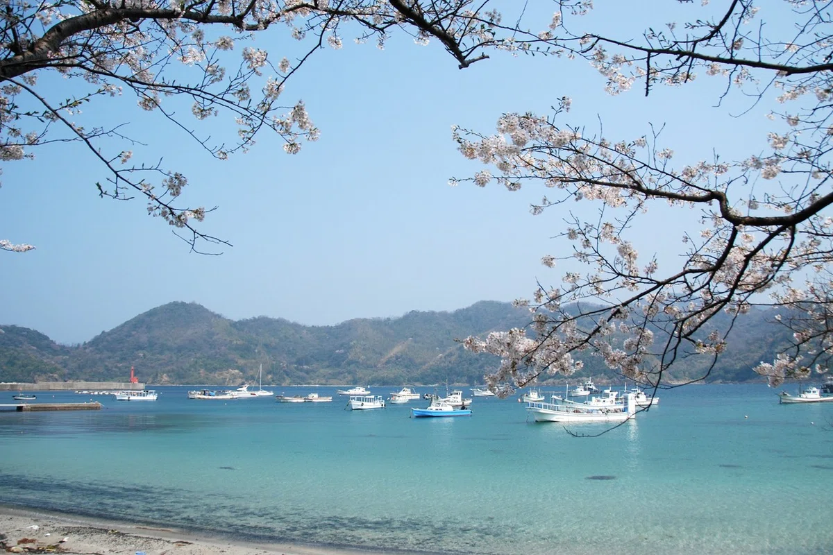 画像1