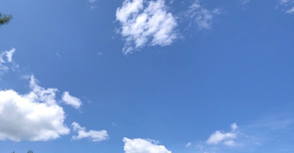 六つの本心の話　エリック・ロメール　早川書房 Amazon.co.jp: 六つの本心の話 : エリック ロメール, Rohmer
