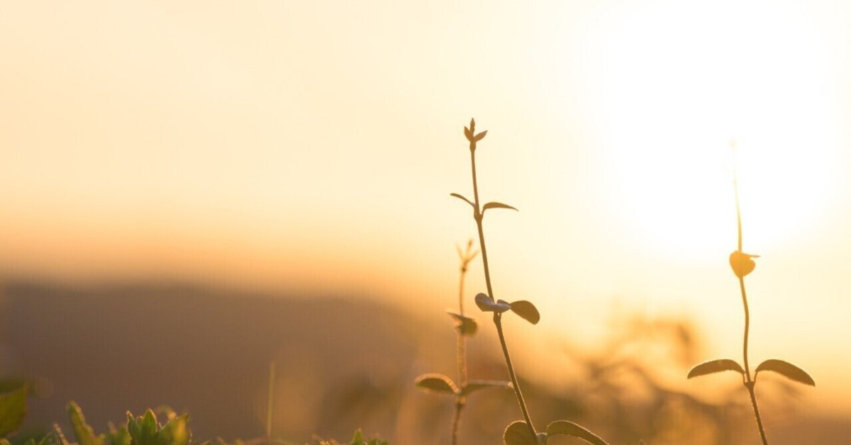 朝ごとに夕ごとに ふたりに翻弄される恋 in Office【フィフスアベニュー限定盤