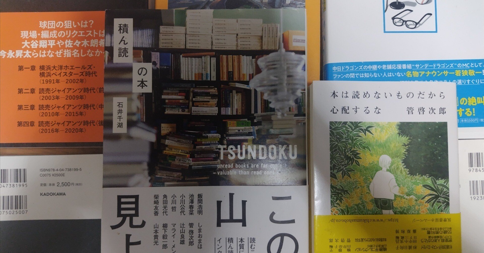 酔石 句集/天満書房/浜崎素粒子（単行本） 書籍案内／石井千湖著『積ん読の本』（主婦と生活社、2024年
