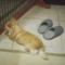 もっちー