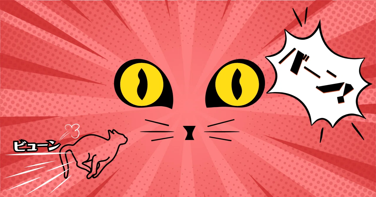 猫がダッシュして振り返る行動の意味｜あまね〘ฅ՞•ﻌ•՞ฅฅ^•ﻌ•^ฅ〙