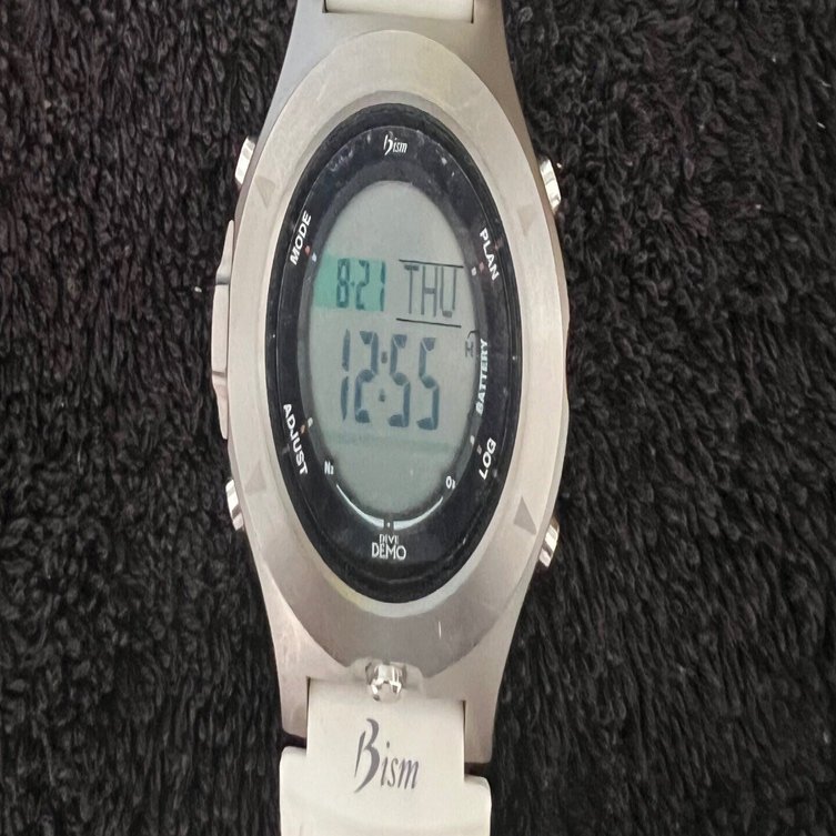 寿命末期のダイコン(Dive Demo Solis)｜REN