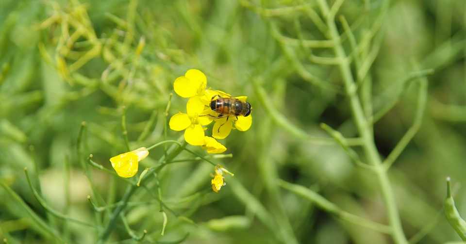 文字夜話 第二夜 世界が平和になるかもしれないって思ったんです Bob Hattori Note