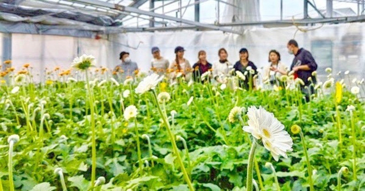 お世話になっている花農家さんの元へ 直接伺った際に気付いた 花の廃棄問題 の根本 沙音莉 Note
