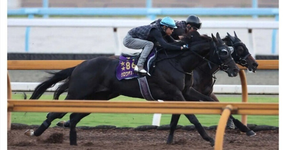 10月フランス🇫🇷凱旋門賞2025🏆 日本馬🇯🇵初勝利＆ワンツー