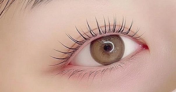 【未開封】マツゲパーマ用　エッセンス 楽天市場】国産 レジーナ バイオスキン マネキンセット まつげ
